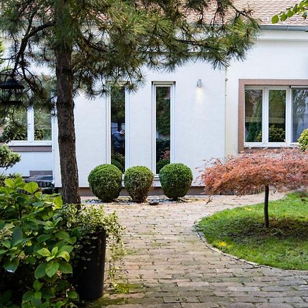 Green And Blue Garden Apartments بلغراد المظهر الخارجي الصورة